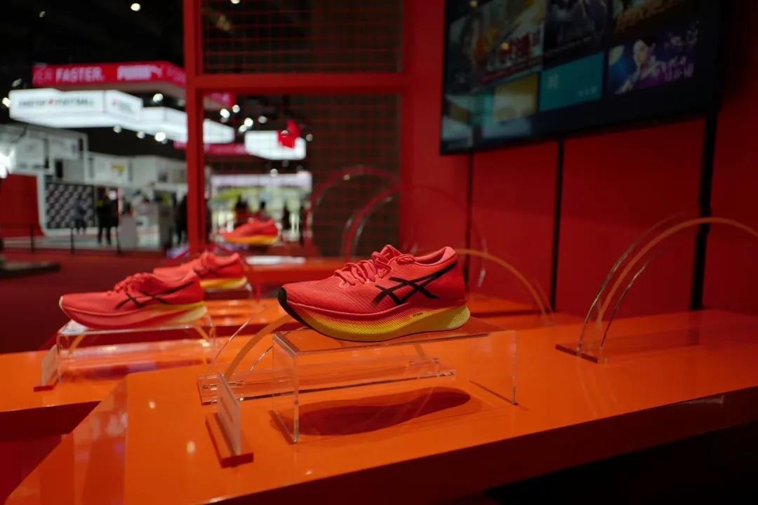 杨晨履历,杨晨与范志毅