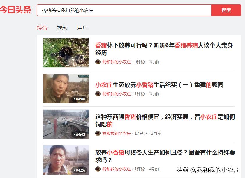 养殖猪的十大坏处,养殖猪存在的问题