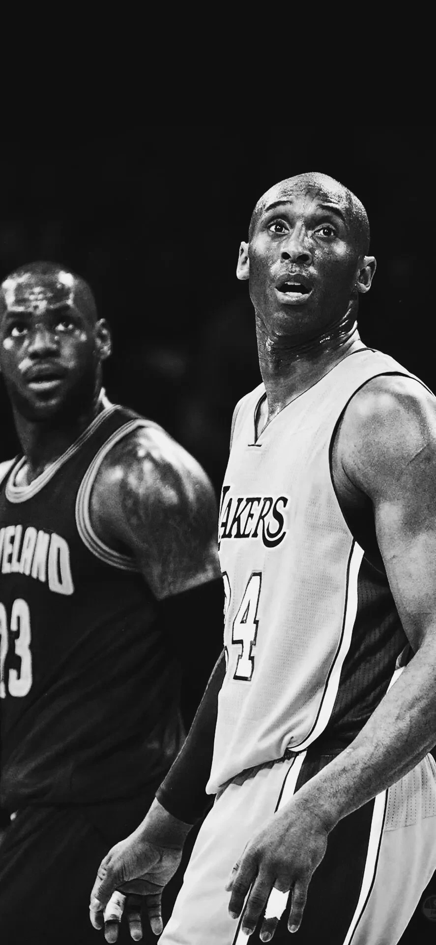 教练我想打篮球哪一集,教练我想打篮球国语