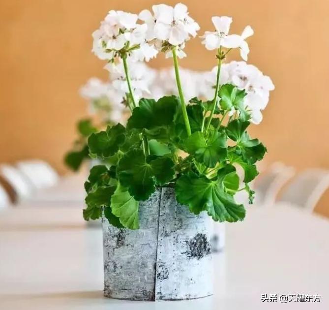 佛说的糊涂是一种心态,佛说活得糊涂的人容易幸福