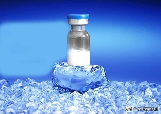 牛初乳冻干粉副作用,美妆博主推荐冻干粉使用