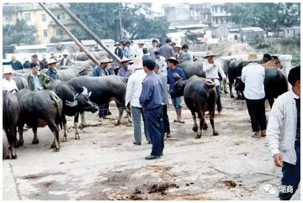 清代潮汕就有“代购”？不愧是百载商埠……