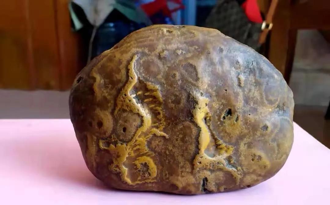 5万块卖不卖?石农捡到一块黄蜡石,上面竟然有龙凤