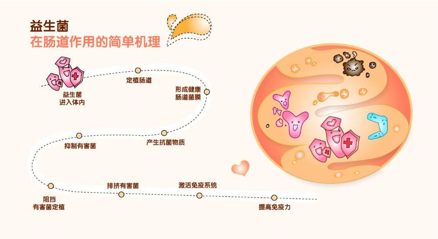 酸奶为什么能提高免疫力,免疫力是最好的医生抖音