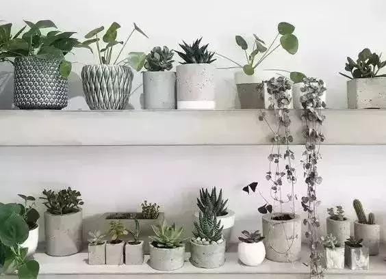 新房装修后如何除甲醛的最佳方法,新房装修好后如何去除甲醛最有效