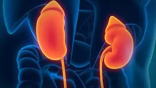 肾功能损坏的糖尿病人怎么吃药,糖尿病引起的肾病该吃什么药保肾