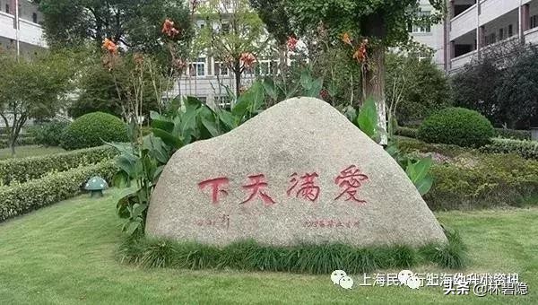 上海浦东新区一流一类小学排名,上海教育新趋势