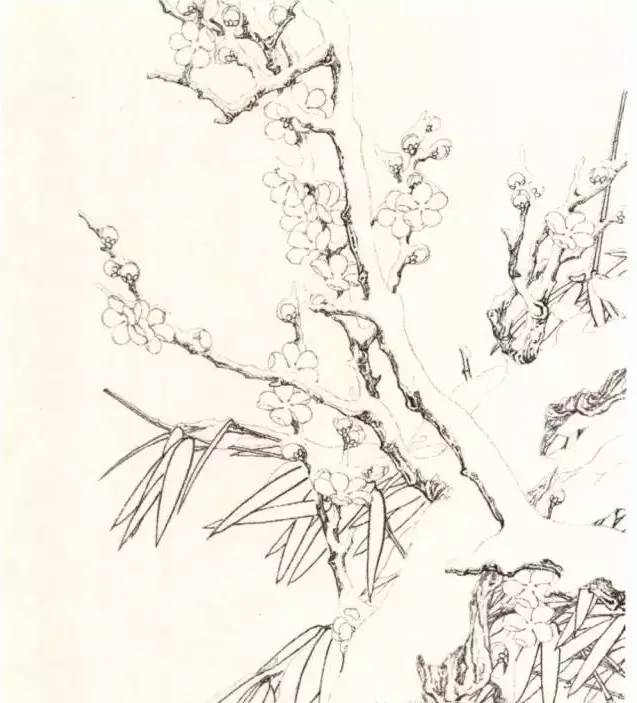 工笔梅花的分染上色教程,工笔梅花的10种设色技法收藏起来