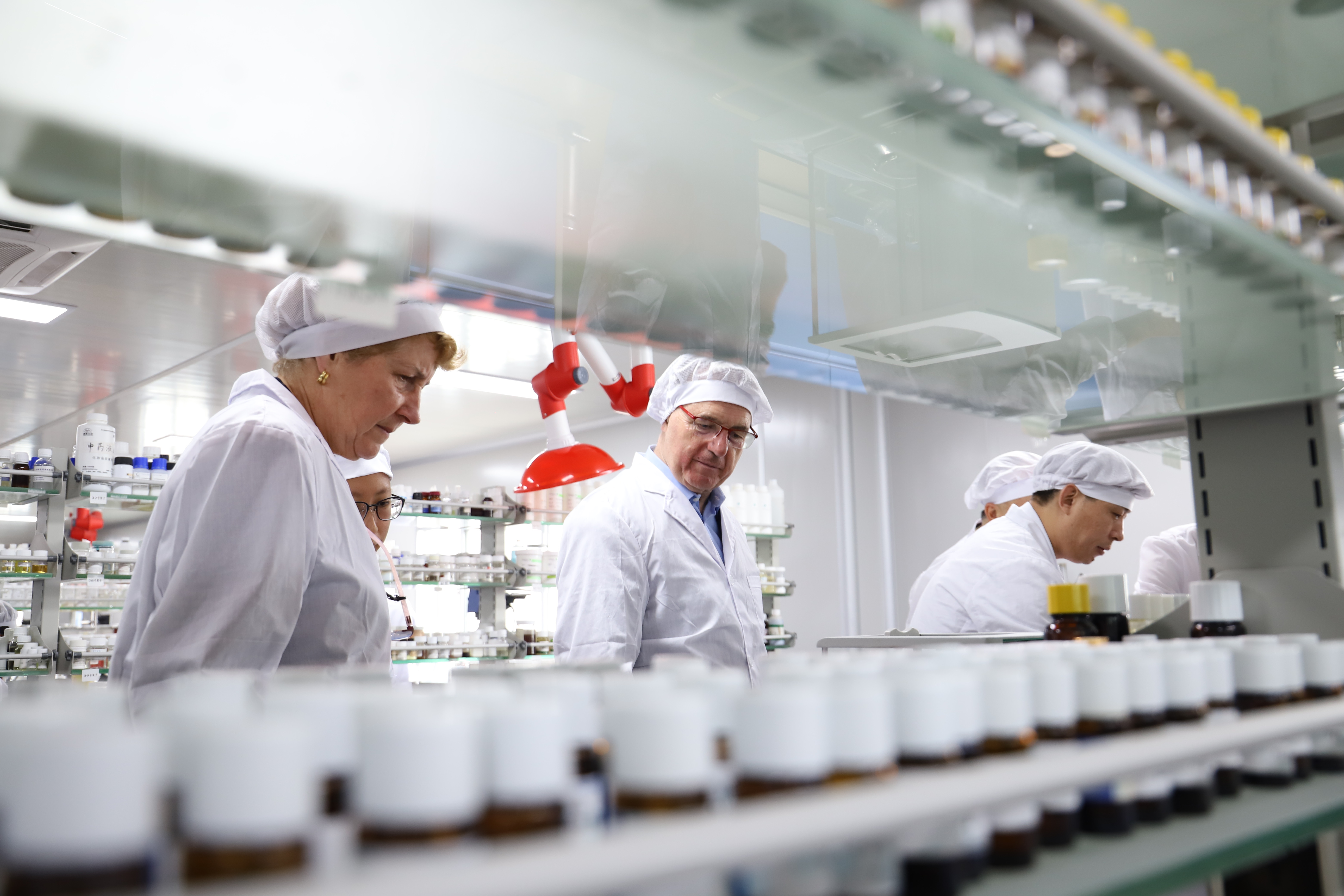 植物的能量和疗愈,植物的灵性和疗愈的力量