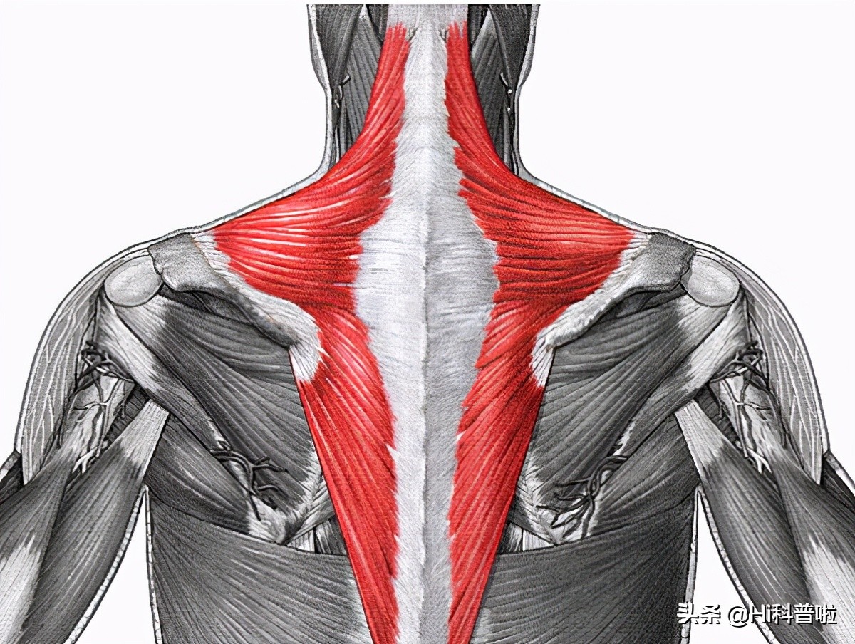 尸体在户外100天会发生什么变化,独居的人死在家里多久被发现