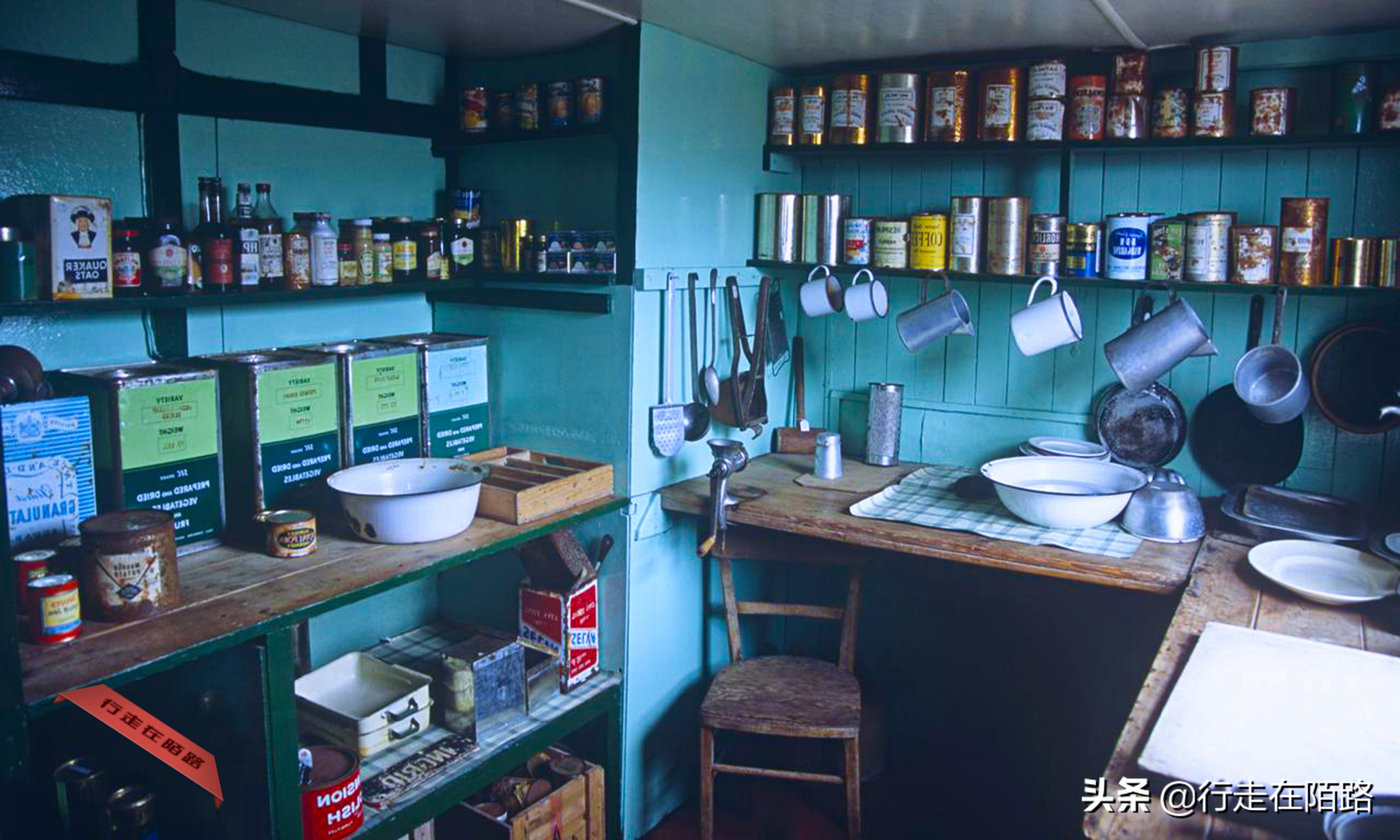 铲屎官招聘,邮局招聘吗