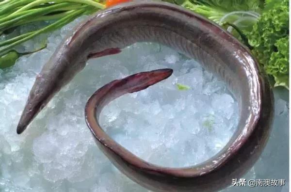 南澳渔民捕鱼视频,南澳渔民出海