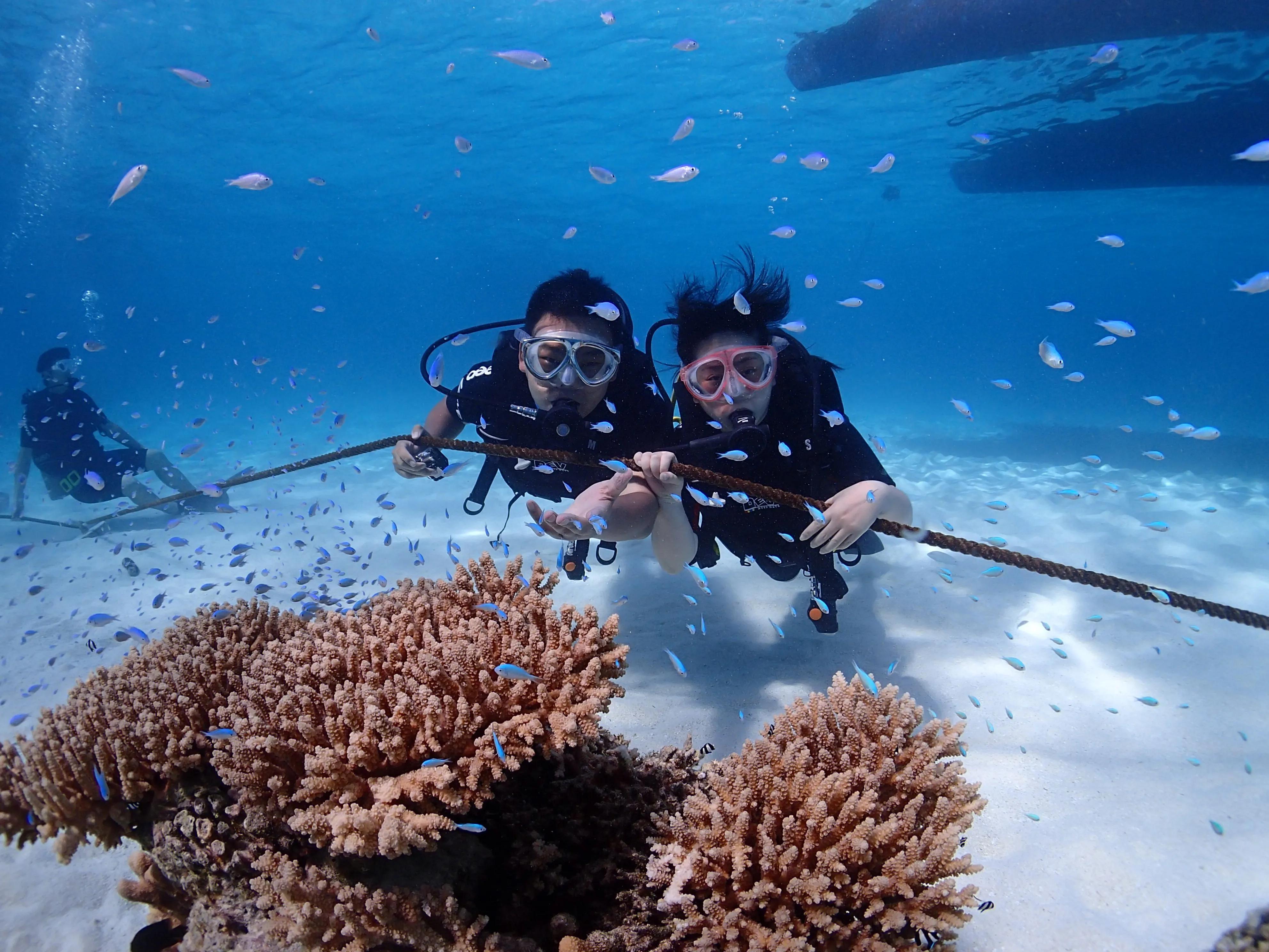 水晶海浪塞班,塞班水晶湾浮潜和军舰岛浮潜