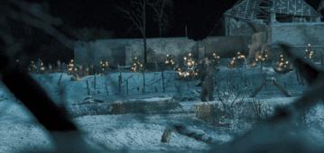 每年今天我都会刷一次，它也该火了