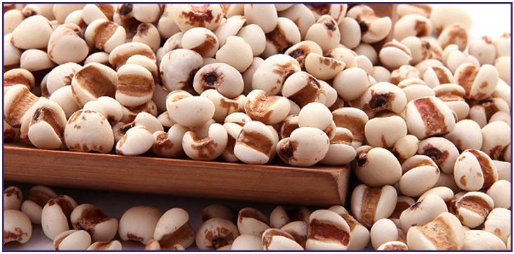 naturie薏仁水2017包装,naturie薏仁水是日本产的