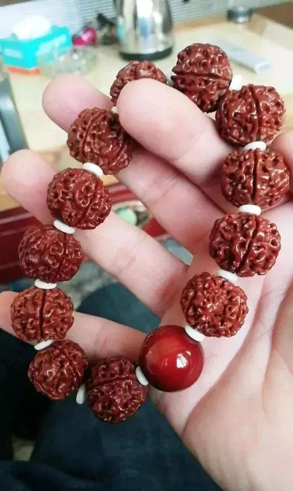 金刚贵贱区别,金刚菩提多久能红