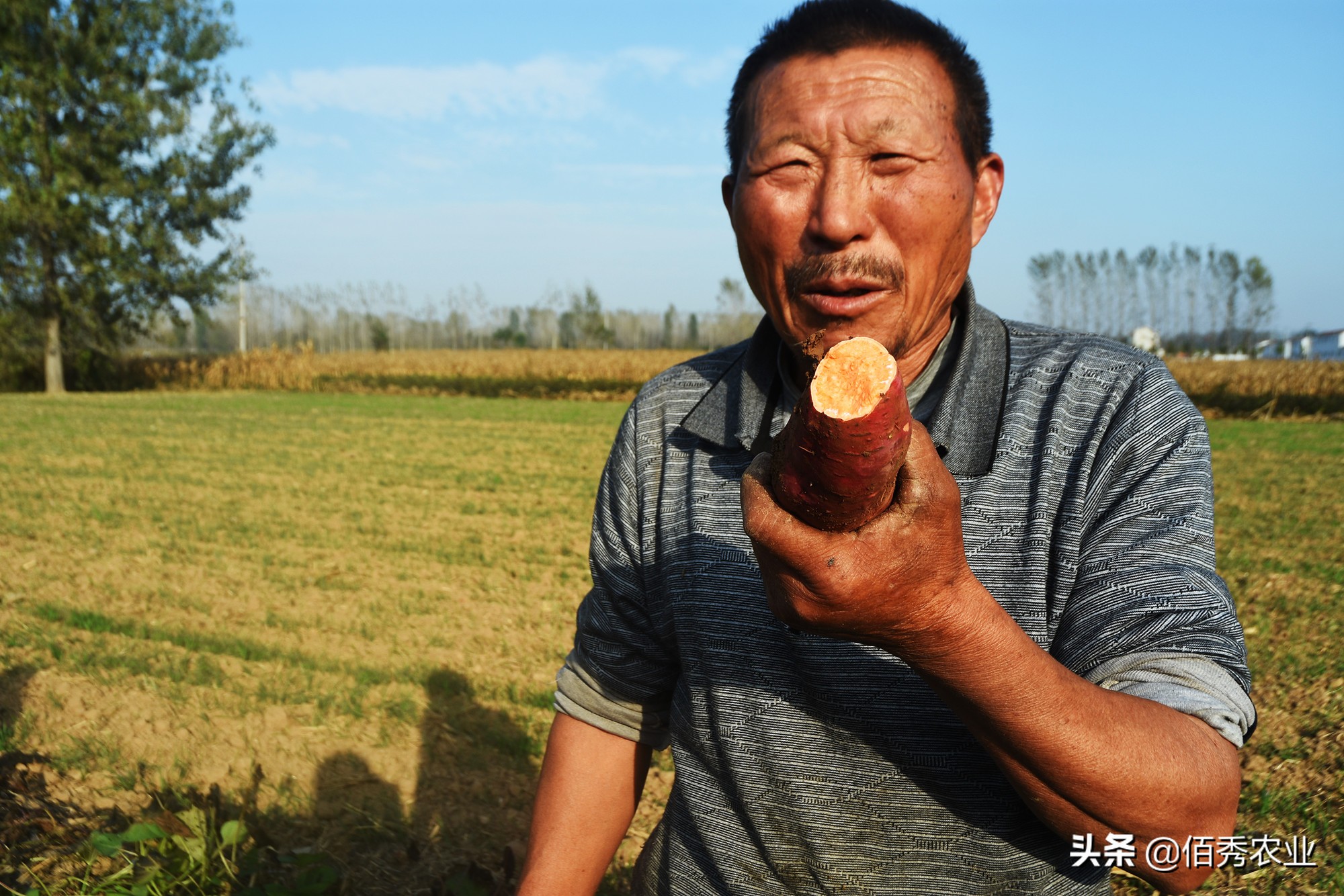 女记者辞职卖地瓜年售过亿,女记者辞职卖烤地瓜