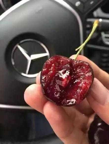 过年怎么装逼,新年怎么装逼英语