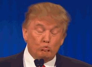 印度目前加入了rcep组织吗,印度什么时候退出了rcep