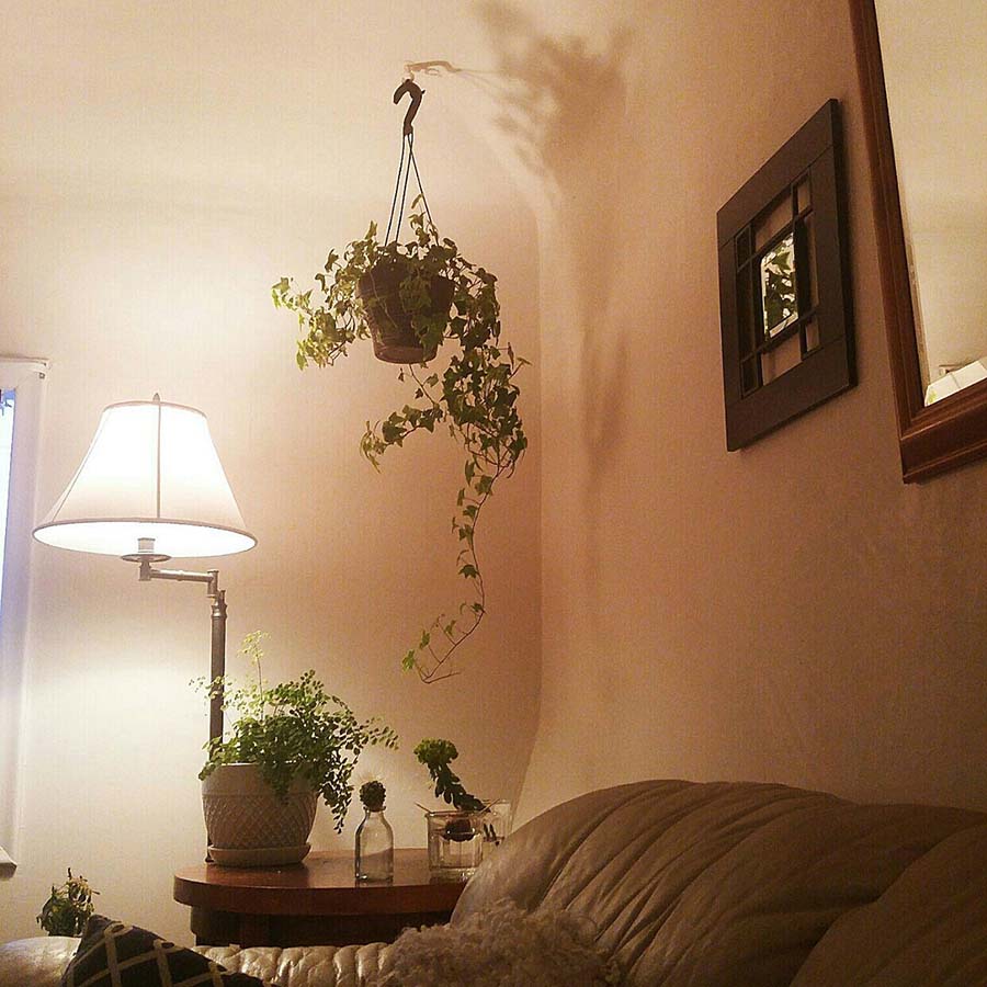 主妇家居的布置,小户型客厅适合台灯落地灯装法