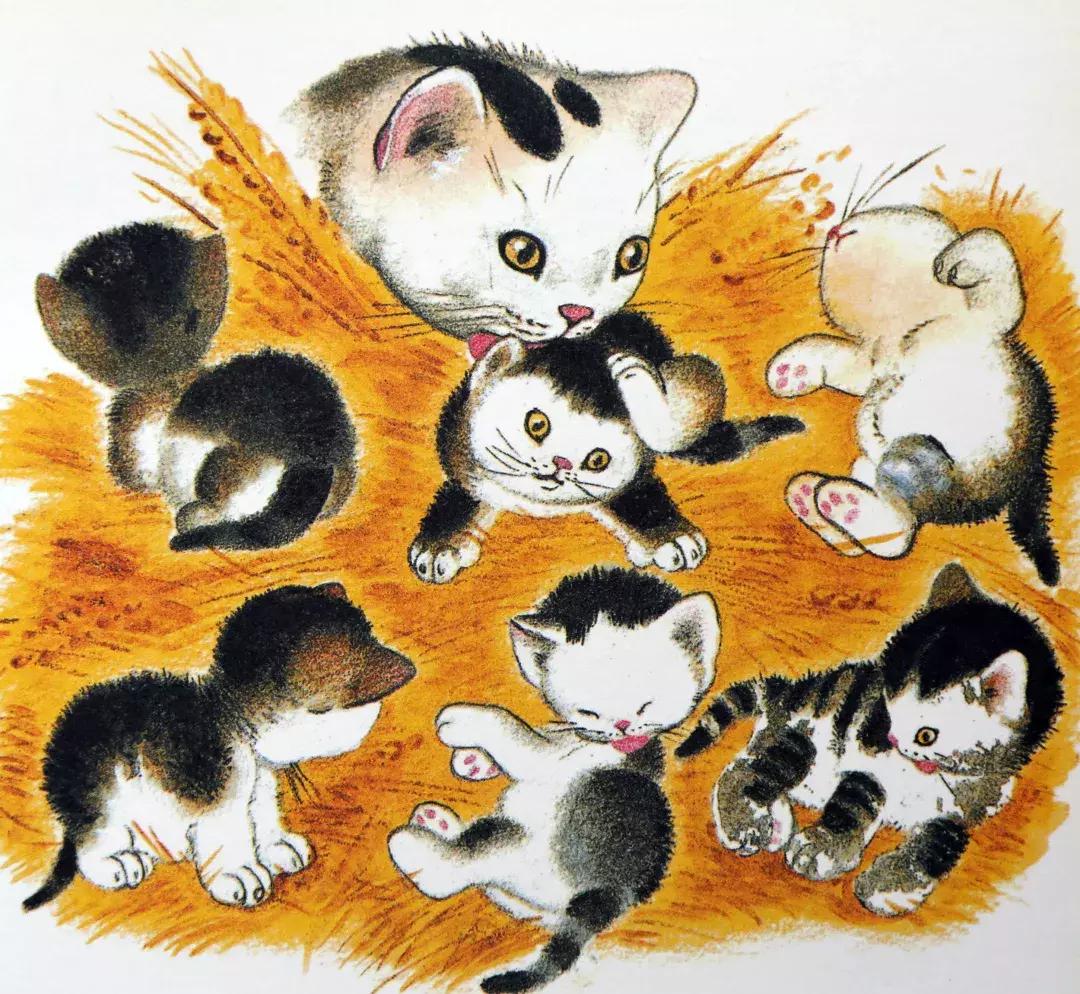 羞答答的小猫绘本故事,绘本阅读有趣的小猫