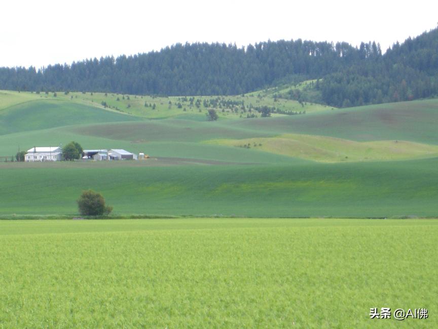 美国农田最多的州,美国哪个州的农场土地肥沃
