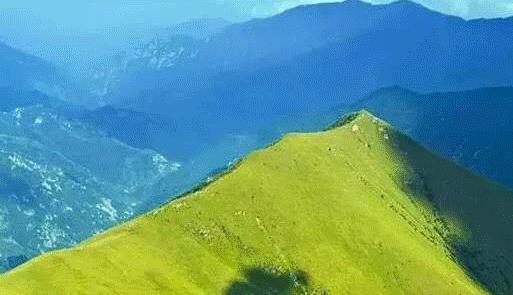 蔚县十大新型创业项目加盟,蔚县投资