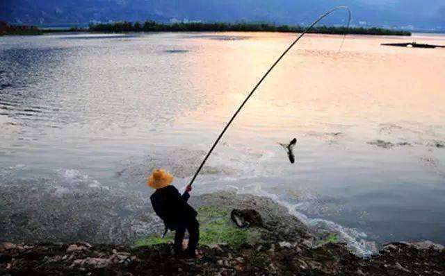 钓龄,3.6米鱼竿和4.5米的鱼竿比较长短