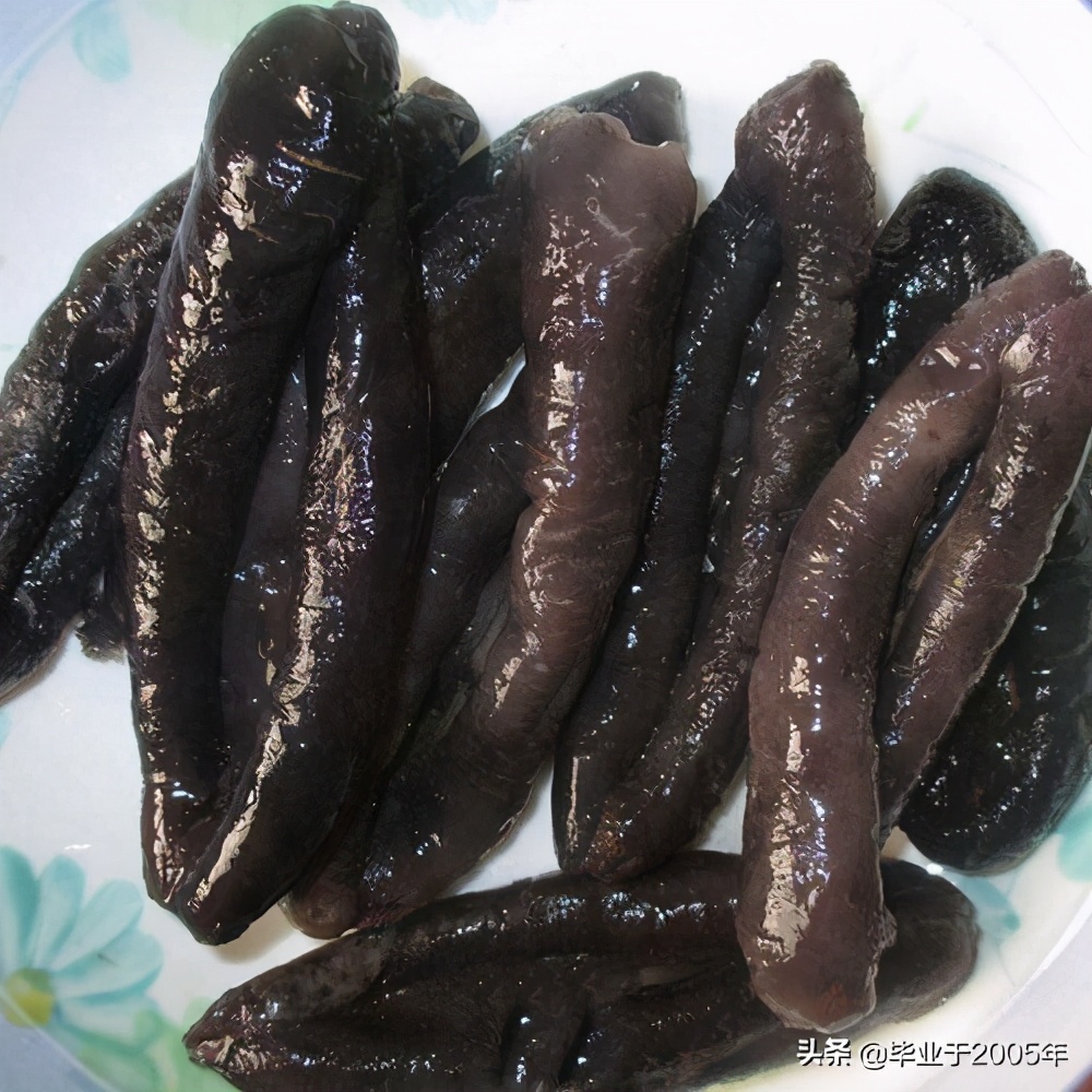 从客观角度说说海参,客观的角度说一说海参