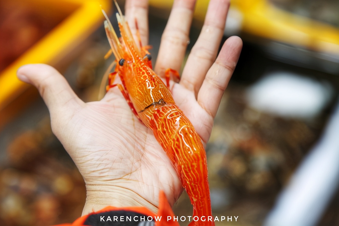 閲滃北濂界帺涓庡ソ鍚冪殑鍦版柟,閲滃北鏃呮父缇庨
