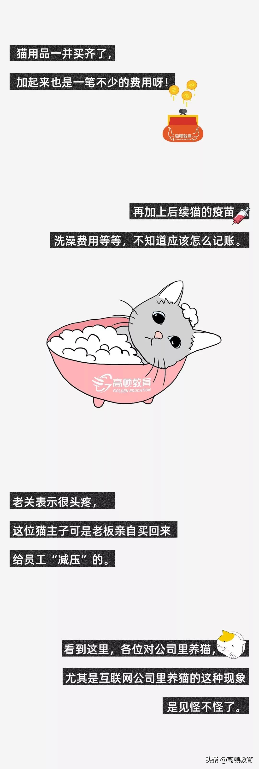 公司养了一只猫怎么记账,公司买的猫怎么入账