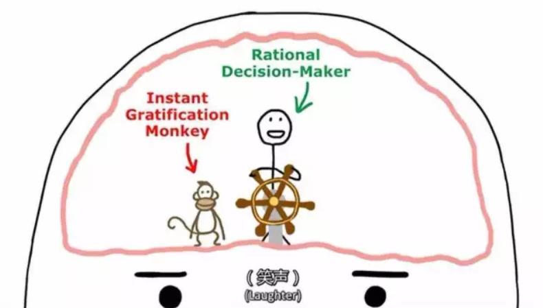 ted演讲的拖延症有哪几种分类,ted演讲拖延症的猴子