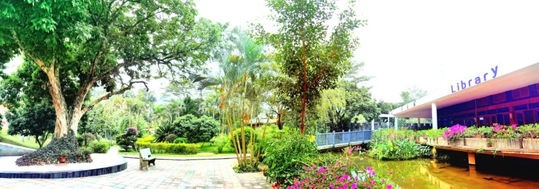 深圳小学择校,深圳择校