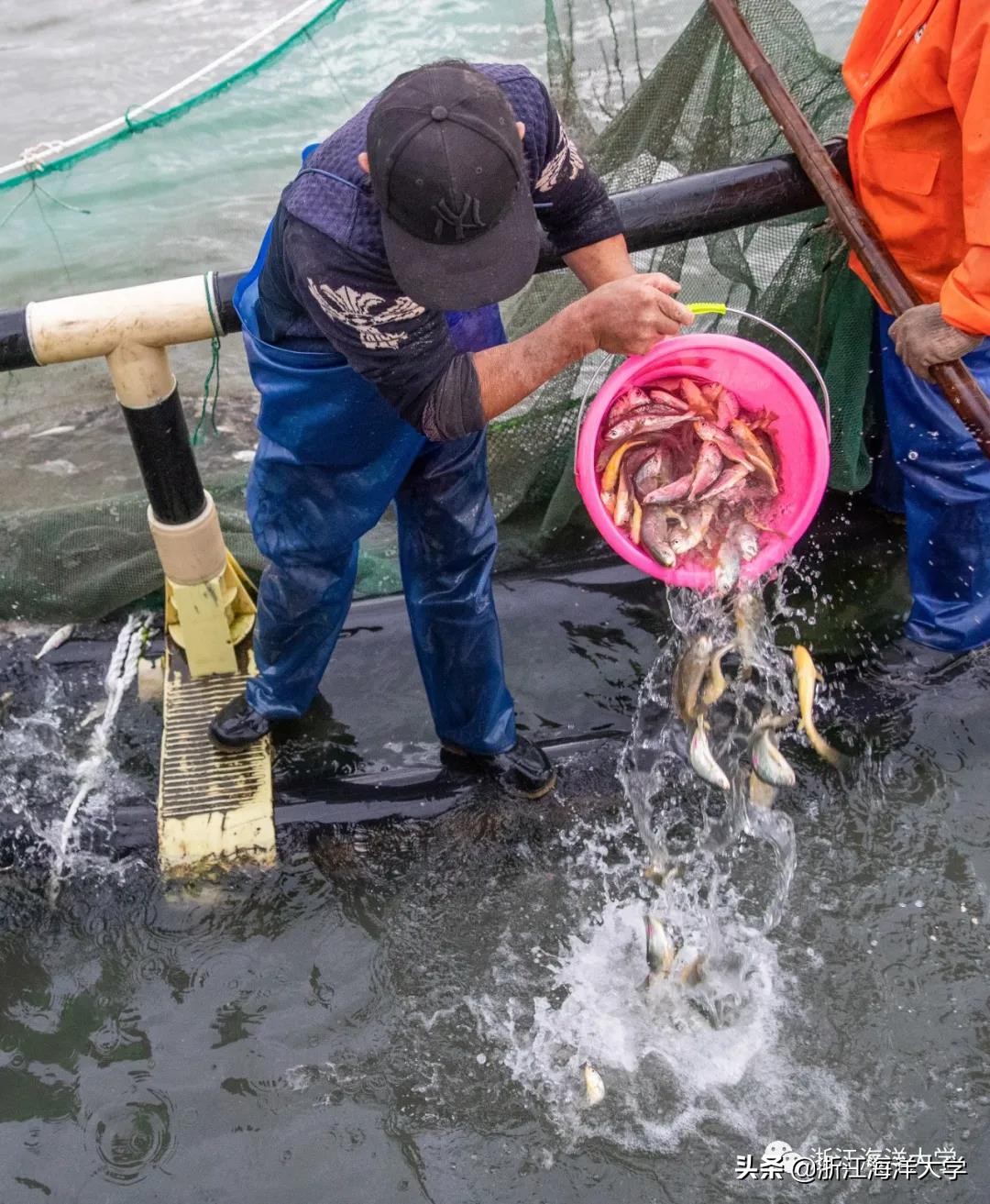娴欐睙鏃ユ姤娣卞害鎶ラ亾,娴欐睙鏃ユ姤寮曢鏂扮殑鑸▼