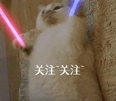 不遛狗有什么后果,不遛狗的7大后果