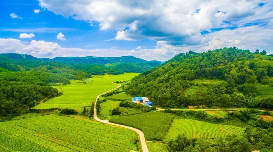 农业产业投资机会,农业未来最赚钱的产业