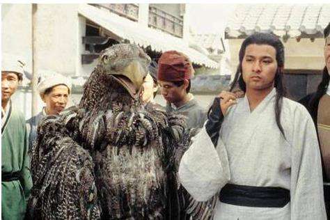 神雕侠侣六个版本杨过断臂,神雕侠侣各版本大雕对比