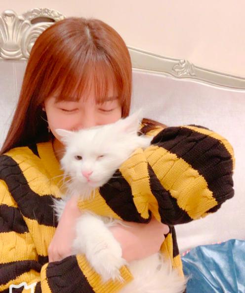 沈梦辰否认卖假货衣服什么品牌,沈梦辰二手衣服靠谱吗