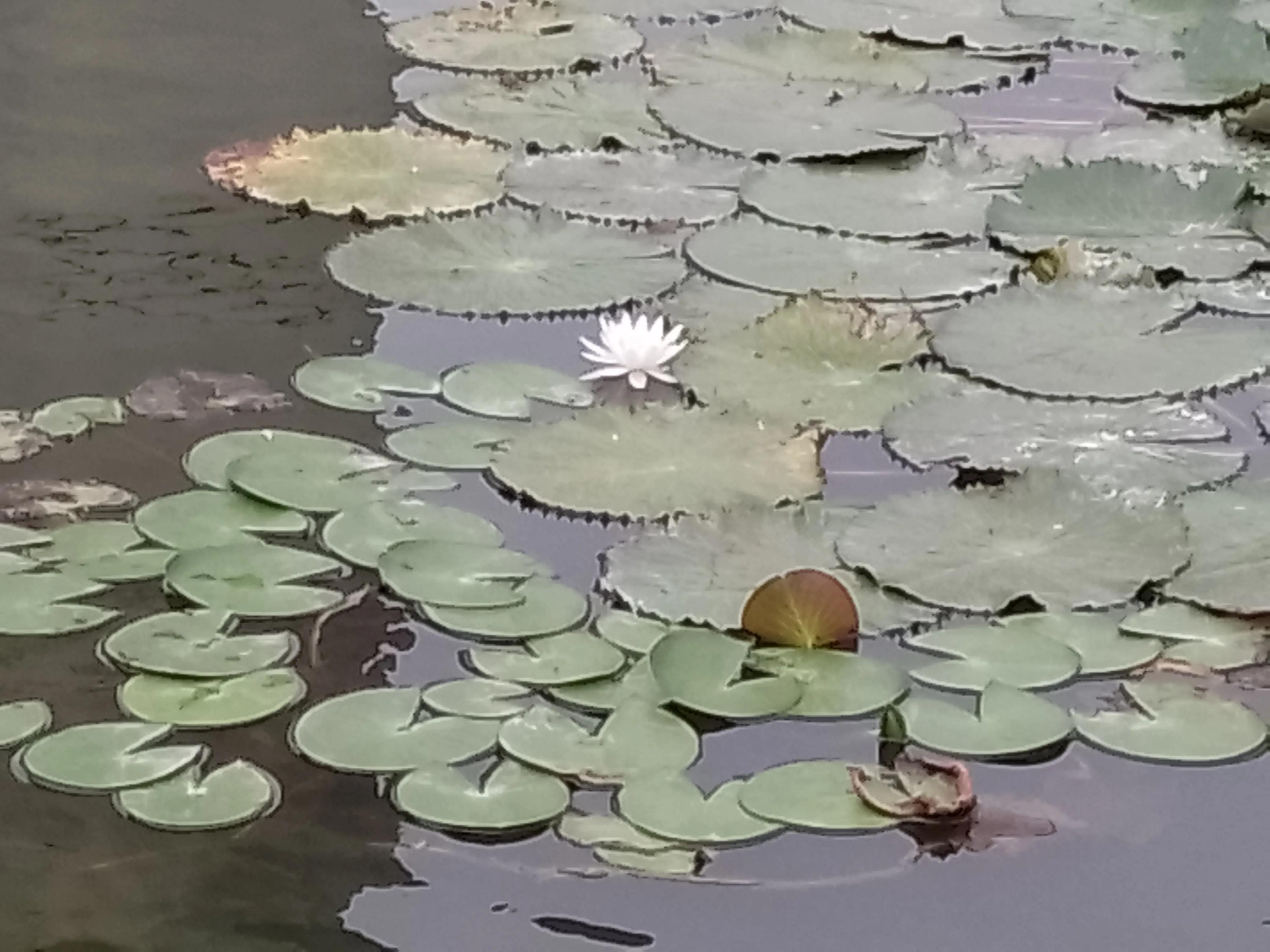 如何用一句话形容生产,怀孕到生产的辛苦与喜悦