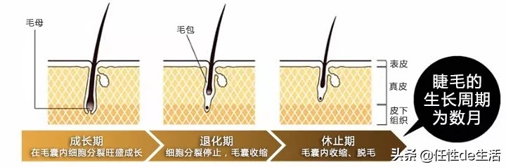 不刷睫毛膏的眼妆好看吗,日常妆容减龄不涂睫毛膏