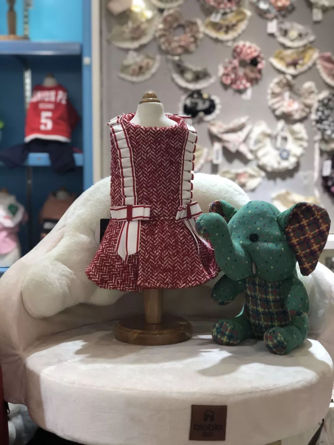 开宠物店成都哪里最好卖,成都最大宠物连锁店