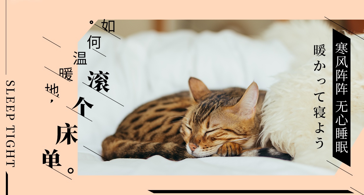 2月14的情人节你要和谁过,2月14日情人节给老婆祝福