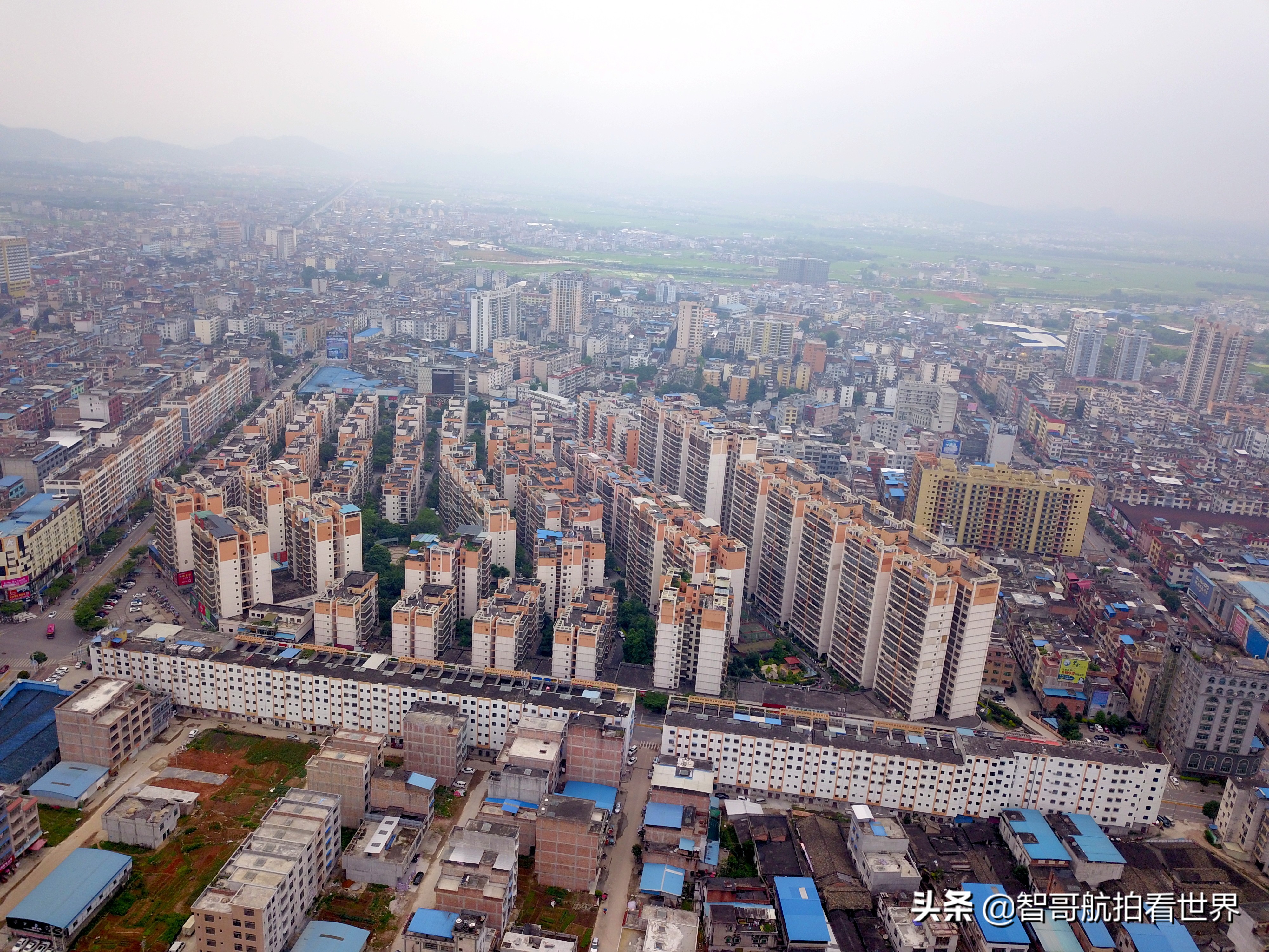 广西宾阳炮龙乡视频,宾阳炮龙之乡新闻