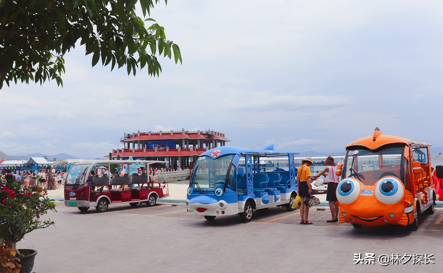 三亚蜈支洲岛潜水项目多少钱,三亚潜水岛有哪些