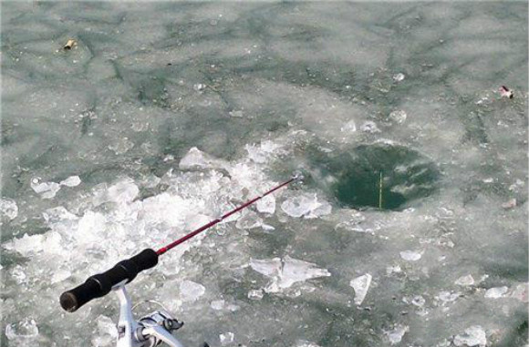 冬天钓鲫鱼的正确方法,天冷了鱼都不开口