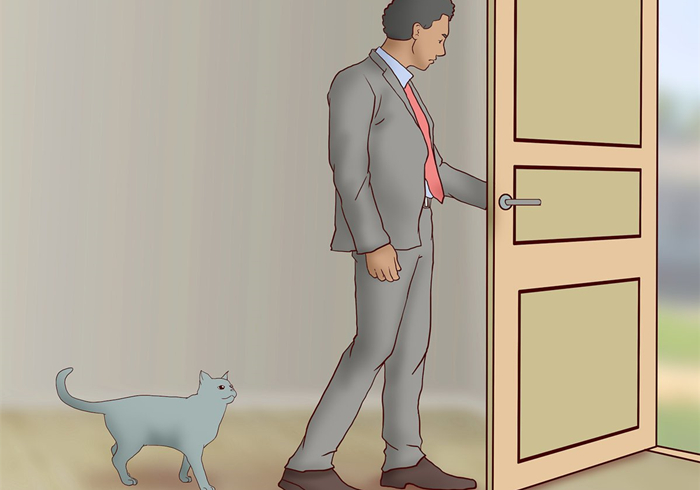 猫咪体检预约难还怕错过？学会七种方法，在家也能为爱猫检查身体