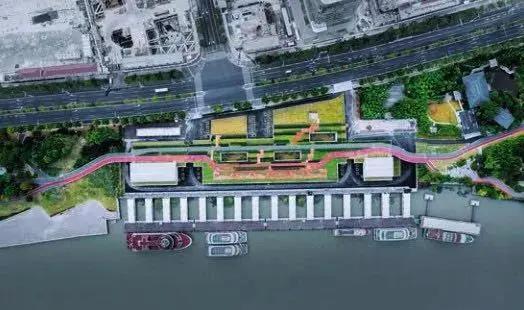 浦东滨江世博文化樱花公园,滨江道24小时不打烊