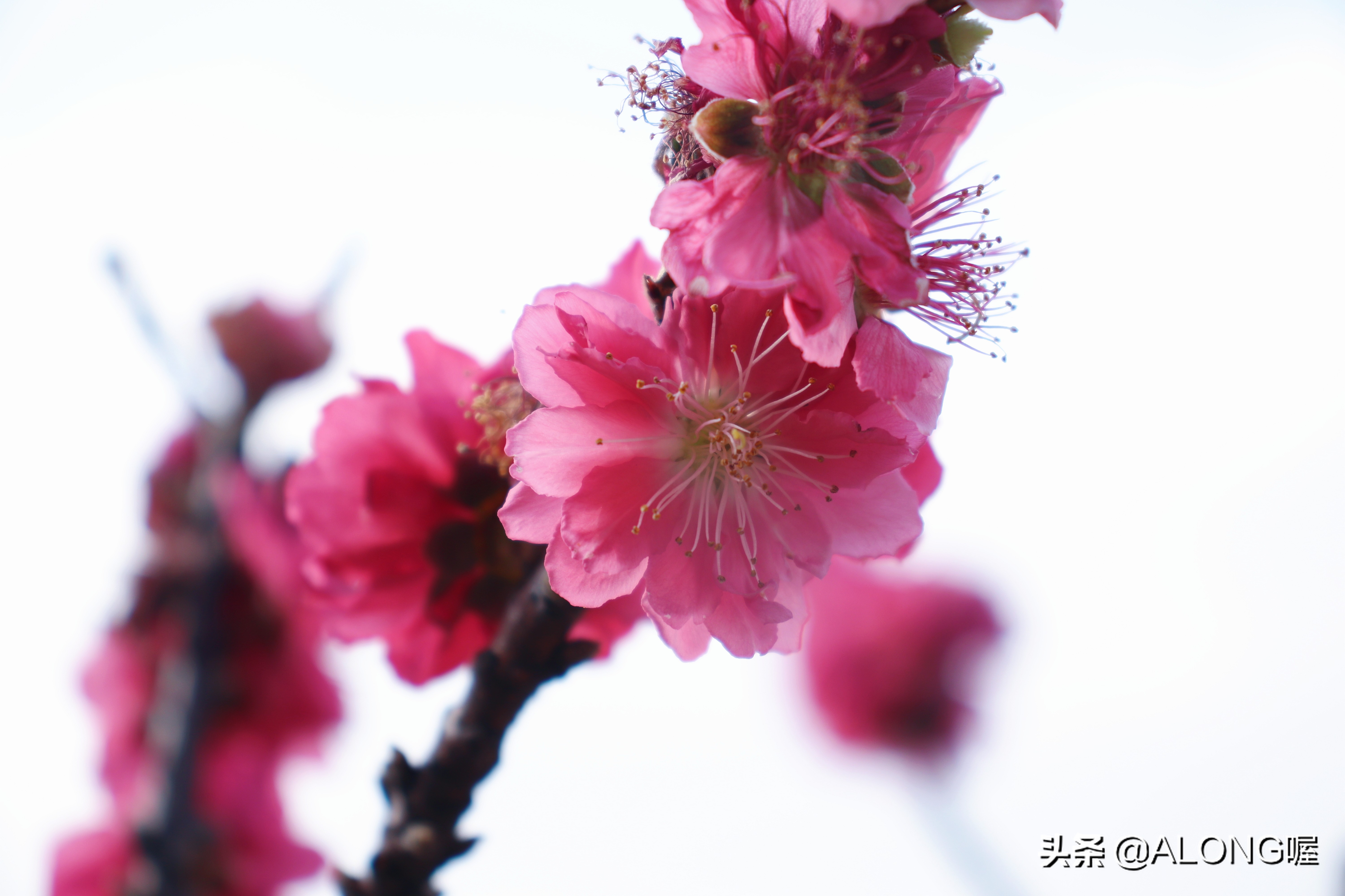 佳能77d最适合的全画幅,佳能77d摄影基础知识入门