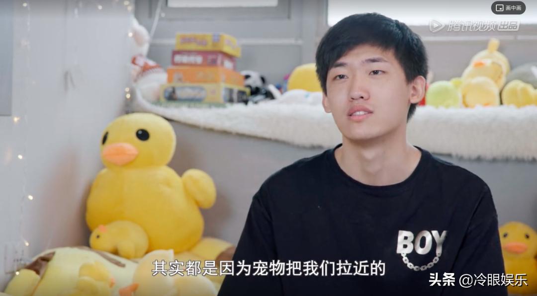 小动物永远都幸福,小动物长得最美也最可爱