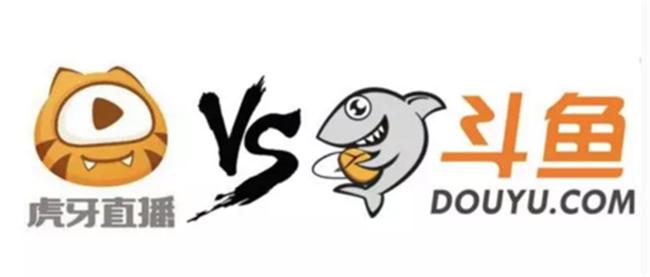 斗鱼与虎牙主播对战,狮王斗鱼vs中国斗鱼谁厉害